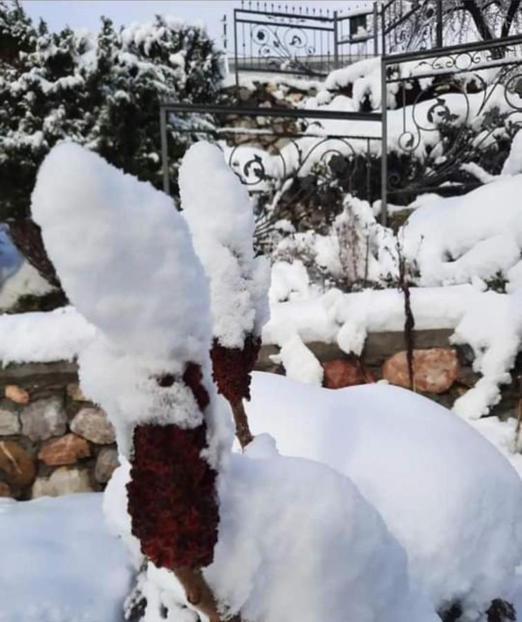Apartman Bella Vita Kolasin Luaran gambar