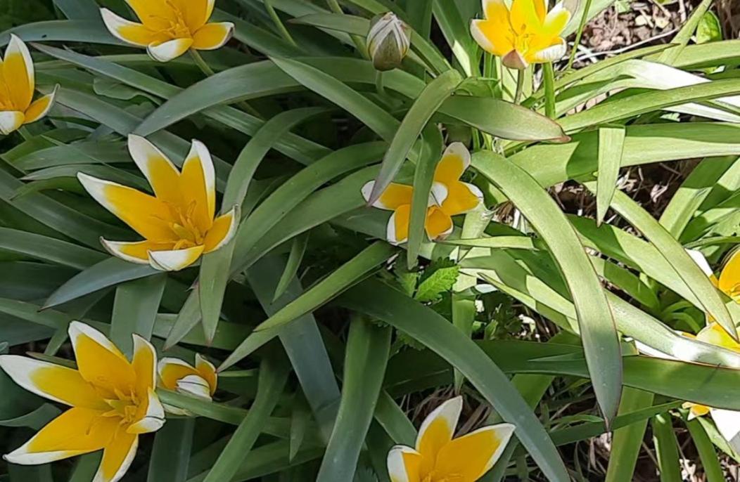 Apartman Bella Vita Kolasin Luaran gambar