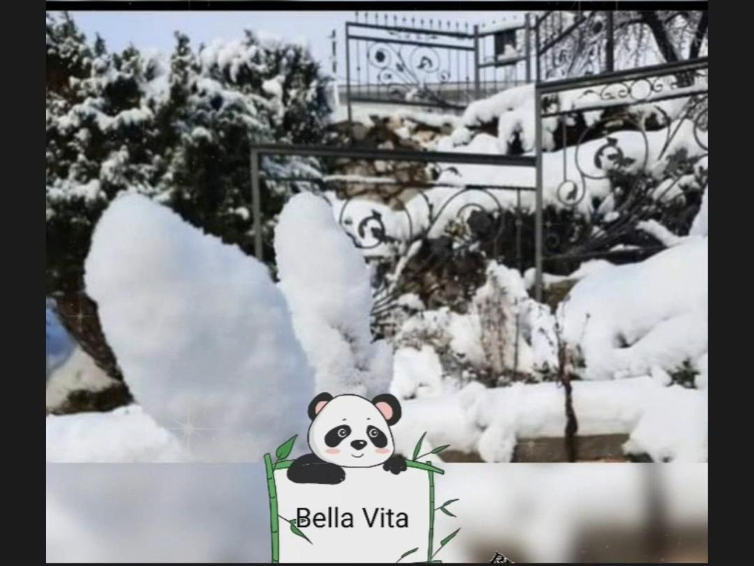 Apartman Bella Vita Kolasin Bilik gambar